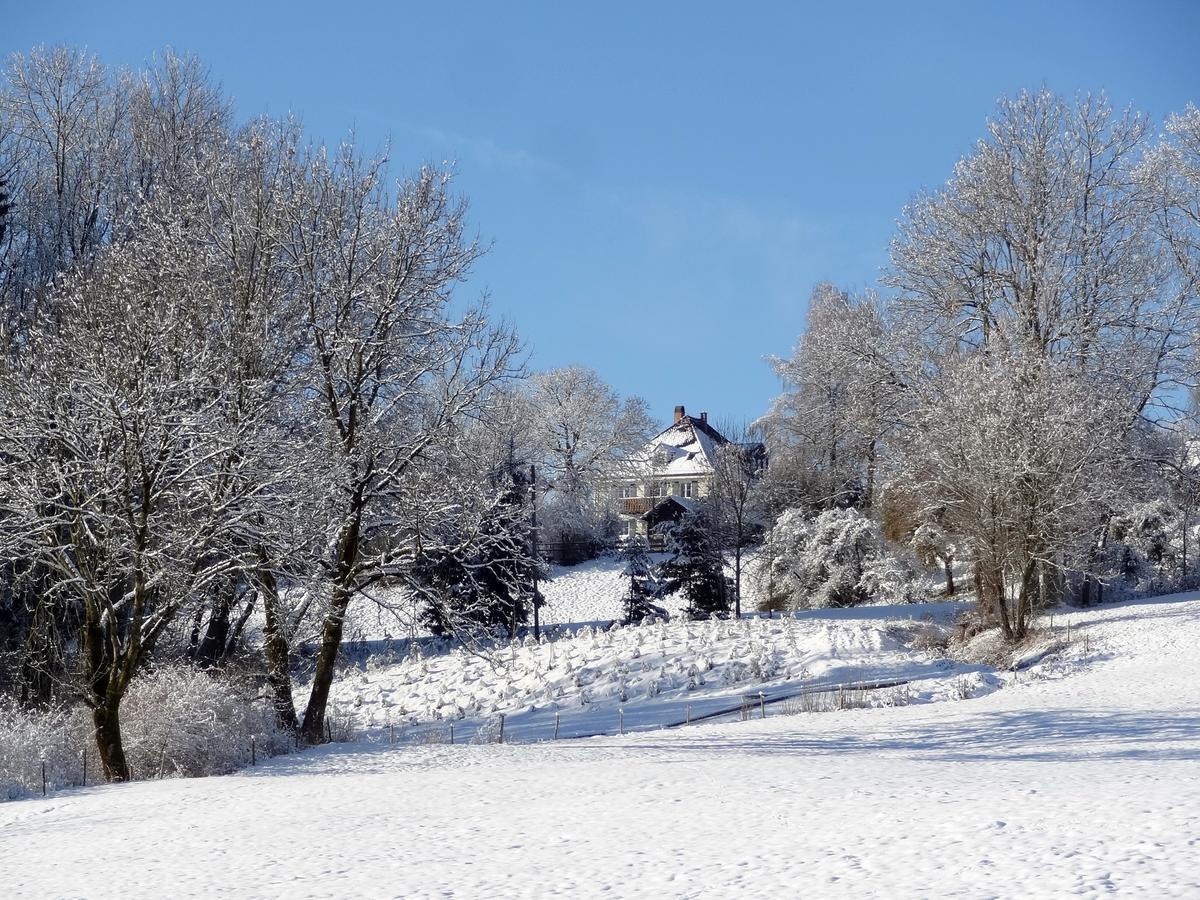 Landhaus Loewenzahn Unteregg المظهر الخارجي الصورة